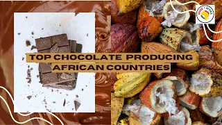 Largest Cocoa Producing African Countries 2020 | African Chocolate