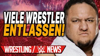 Viele Wrestler entlassen!, Updates zu Wrestlemania | Wrestling/WWE NEWS 52/2021