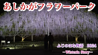 光と花の楽園　あしかがフラワーパーク　ふじのはな物語2024  大藤まつり2024 夜の部　ライトアップされた園内をお楽しみください♪世界に認められた絶景です！夢の旅行先10選！