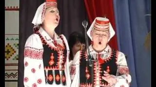 Ой летіли гусоньки Українська народна пісня музика Ukrainian folk song music