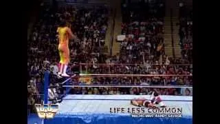 WWF Tribute - Macho Man Randy Savage