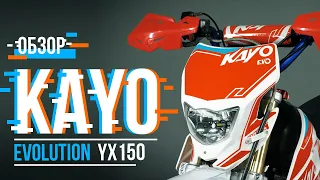 Kayo Evolution YX 150 / Самый народный питбайк / Обзор