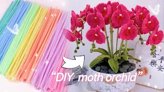 DIY moth orchid/扭扭棒蝴蝶兰教程