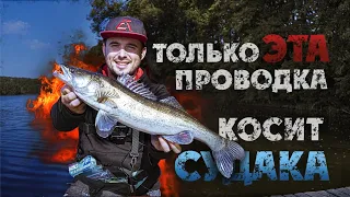 Ловля СУДАКА на ДЖИГ на незнакомом водоеме! Как найти, как ловить? Рыбалка 2020!