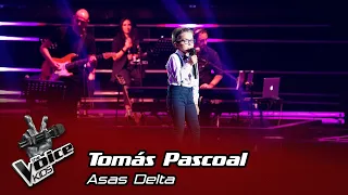 Tomás Pascoal -"Asas Delta" | Prova Cega | The Voice Kids