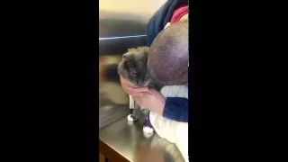 ( RIP Joseph ) saying goodbye to my cat Joseph, before euthanasia.