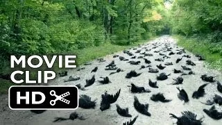 Alien Abduction Movie CLIP - Birds (2014) - Found Footage Sci-Fi Horror Movie HD