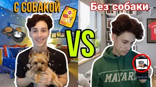 Жить С СОБАКОЙ VS жить БЕЗ СОБАКИ!!!