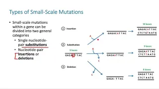 biol 101 ch 14 part 4