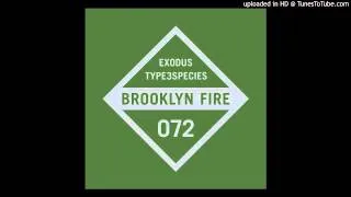 Type3Species - Exodus [Brooklyn Fire Records]