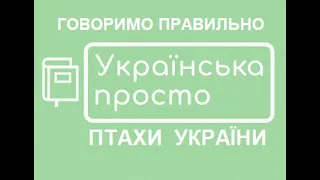 Птахи України/ Говоримо правильно, початкові класи НУШ