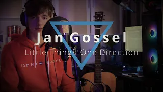 One Direction- Little Things (Jan Gossel Cover)