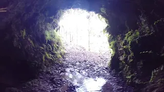 The Kohala Ditch Trail: 5.1 into honpu'e: an entrance to the kohala ditch