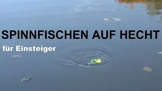 Ran an den Hecht! Spinnfischen auf Hecht für Einsteiger