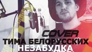 ТИМА БЕЛОРУССКИХ -  НЕЗАБУДКА 🎵🔊 РУССКИЙ КЛУБНЯК🎵🔊