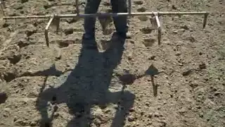 Посадка картофеля без лопаты Planting potatoes without a shovel