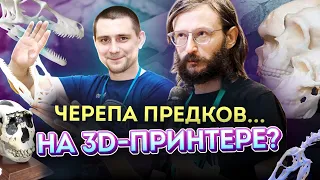 Станислав Дробышевский и Павел Краснов о 3d-печати черепов