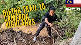 Cameron Highlands, Hiking Trail 10 | Malaysia - Day 75, Part 1