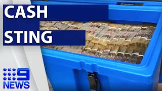 Record crackdown on smuggled drugs I 9News Perth