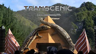 Live organic house music: Transcenic at Twisted Frequency Festival, New Zealand, January 2023