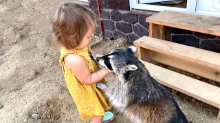 BABY FIRST TIME AT THE RACCOONS / Melissa's huge belly