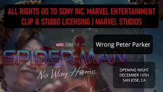 SPIDER-MAN_ NO WAY HOME AUDIENCE REACTION OPENING NIGHT (SAN JOSE_ CA_ DECEMBER 16_ 2021)(720P_HD)