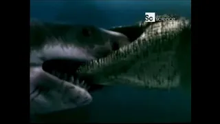 Reverse of Animal Face-off : Saltwater Croc vs Great White Shark fight