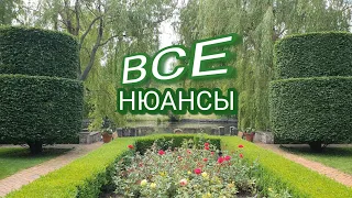 ЛЕТНЯЯ  СТРИЖКА ЛИСТВЕННЫХ И ХВОЙНЫХ  РАСТЕНИЙ.