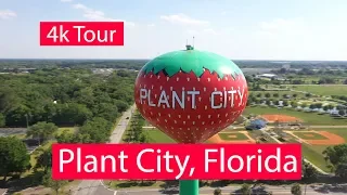 Plant City, Florida - 4k Aerial & Ground Level Tour