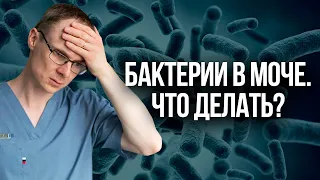 Бактерии в моче. Что делать? Врач уролог-андролог. Москва.