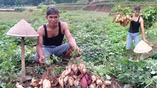 Ongseng" muntul , gorengan muntul kuning, sambal coel daunnya