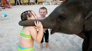 Funny Animal And Baby At The Zoo 🤣😛 Too Cute Babies & Animals