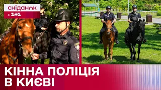 Патрулювання верхи: як працює кінна поліція в Києві?
