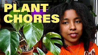 plant chores 🌱 houseplant update, repotting sesh and storytime