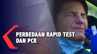Ini Bedanya Rapid Test dan PCR Untuk Pemeriksaan Virus Corona
