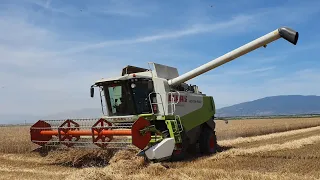 CLAAS LEXION 540 GREECE WHEAT HARVEST 2023 | Αλωνισμός σκληρού σίτου