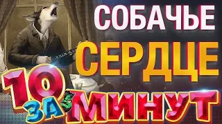 Собачье сердце за 10 минут от Евгения Вольнова