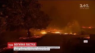 Вогняна пастка не відпускає Каліфорнію. У лісових пожежах загинули вже 15 людей