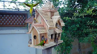 Build a simple wooden bird house and bird feeder