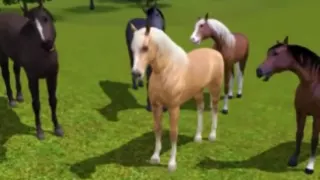 ~ Sims 3 ~ Spirit Stallion of the Cimarron ~ Part 1