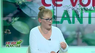 ce vor plantele cristina ghibu partea 2 2021 11 24