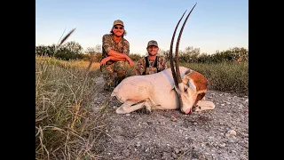 Exotic Hunting Texas - Scimitar Oryx Bull