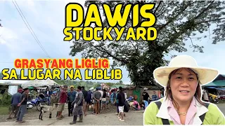 DAWIS STOCKYARD | GRASYANG LIGLIG SA LUGAR NA LIBLIB | SOLLE'S GANDANG BUHAY