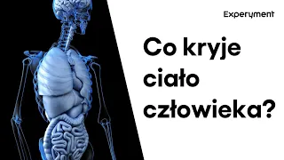 Co kryje ciało człowieka? Budowa ludzkiego organizmu | ZDALNY EXPERYMENT #21