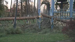 Wind damage following Monday's wind storm and other top stories at 5 a.m.