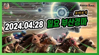 2024년 4월 28일 일요 부산경마 전체경주 모아보기#경마예상 #온라인경마 #마패