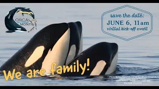 Orca Action Month Kick-off Event, June 6, 2021