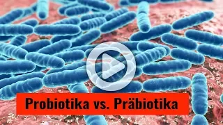 Probiotika versus Präbiotika