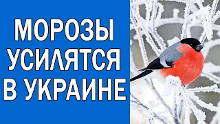 ПОГОДА НА 11 МАРТА : ПОГОДА НА ЗАВТРА