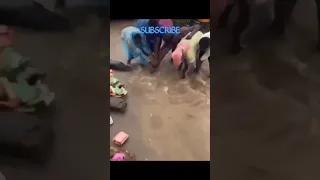 Moment passersby tried to rescue an individual swept away by flood at Lagos today